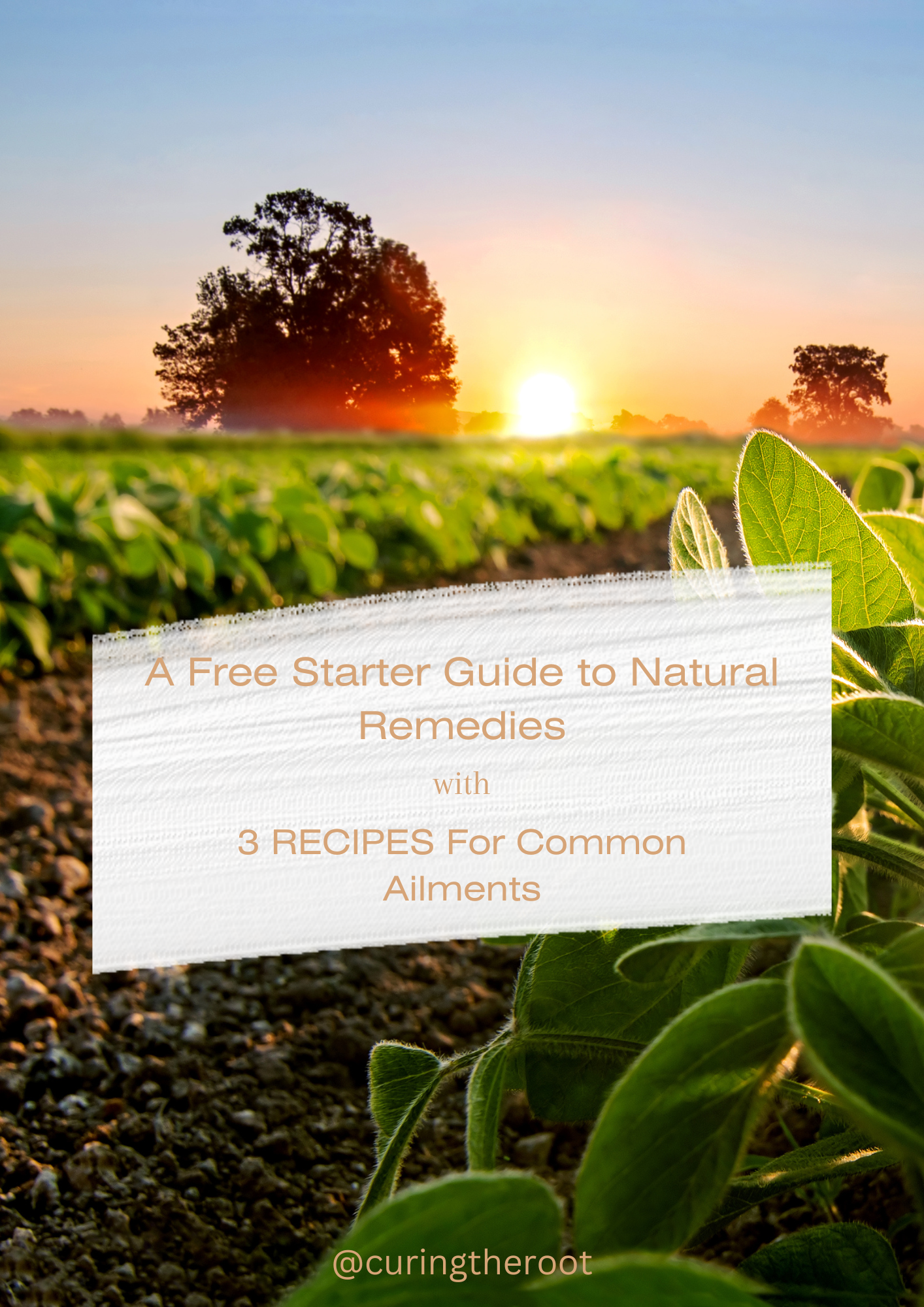 FREE Starter Guide to Natural Remedies with 3 Free Recipes